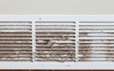 Air Duct Mold Removal Services In New Orleans